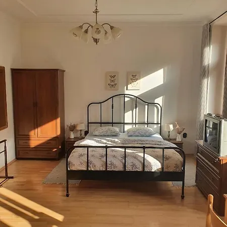 Ida Vranov nad Dyjí